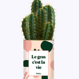 Le gras c'est la vie - Cactus