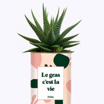 Le gras c'est la vie - Cactus