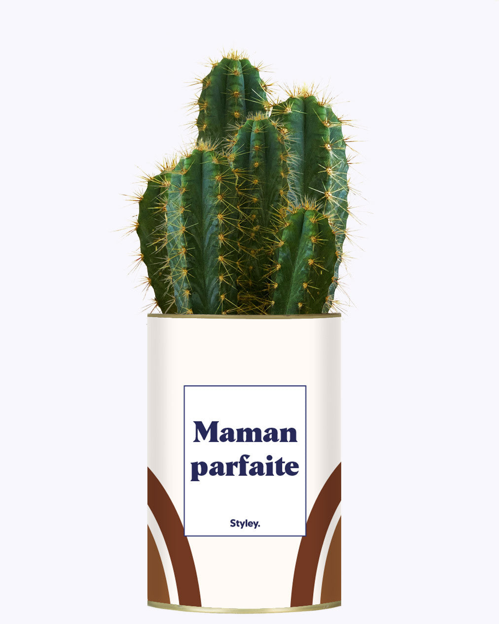Maman parfaite - Cactus