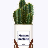Maman parfaite - Cactus