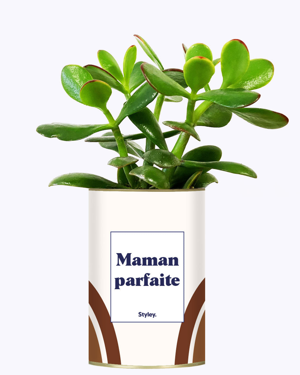 Maman parfaite - Cactus