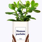 Maman parfaite - Cactus
