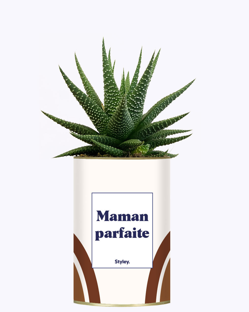 Maman parfaite - Cactus