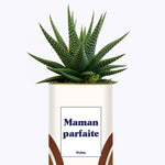 Maman parfaite - Cactus