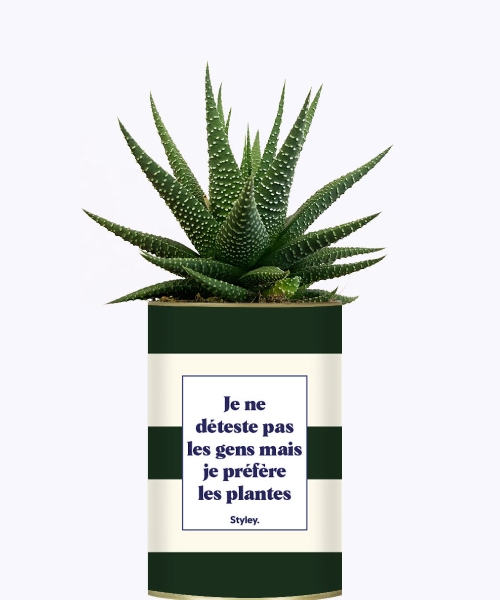 Je ne déteste pas les gens mais je préfère les plantes - Cactus