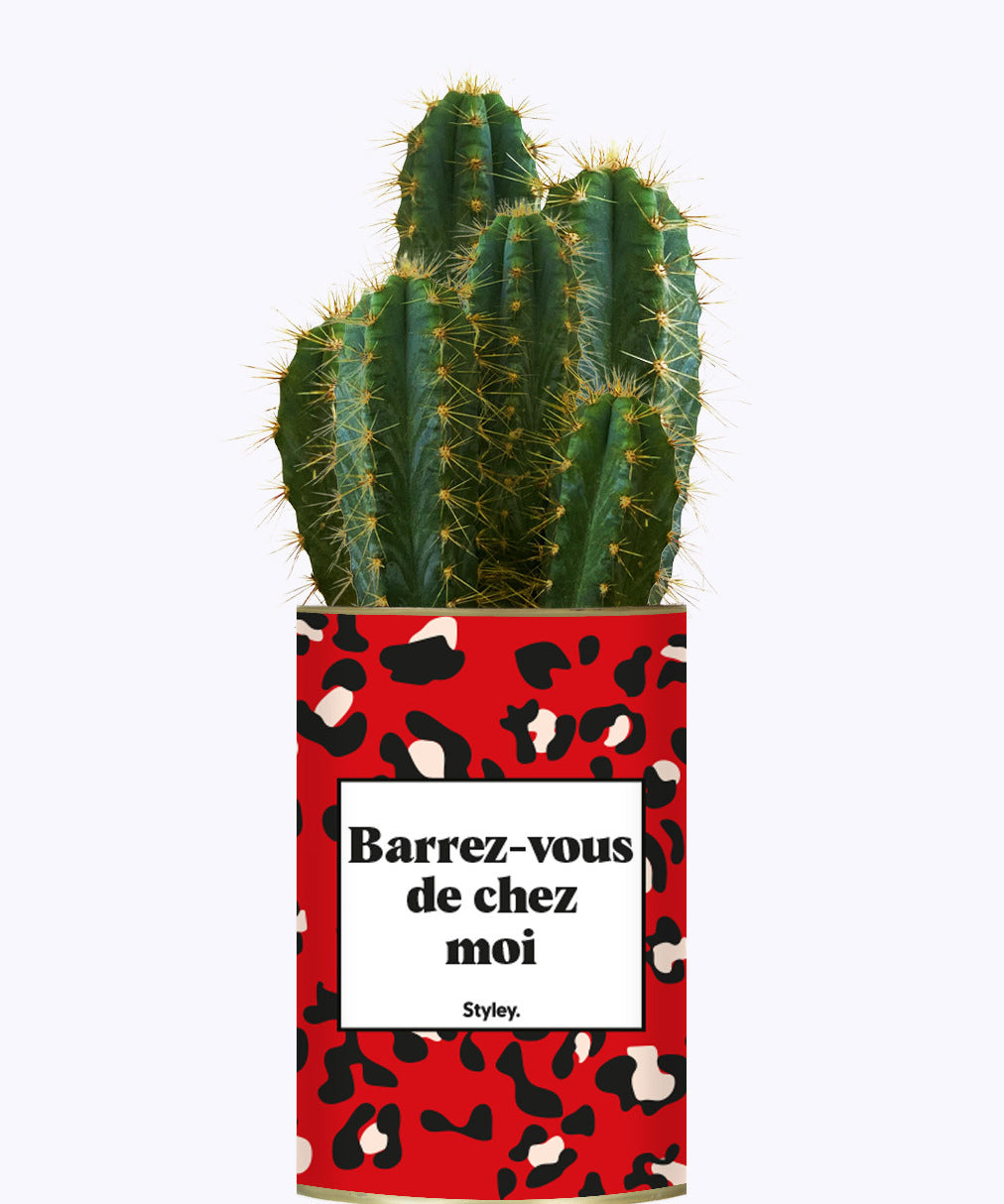 Barrez-vous de chez moi - Cactus