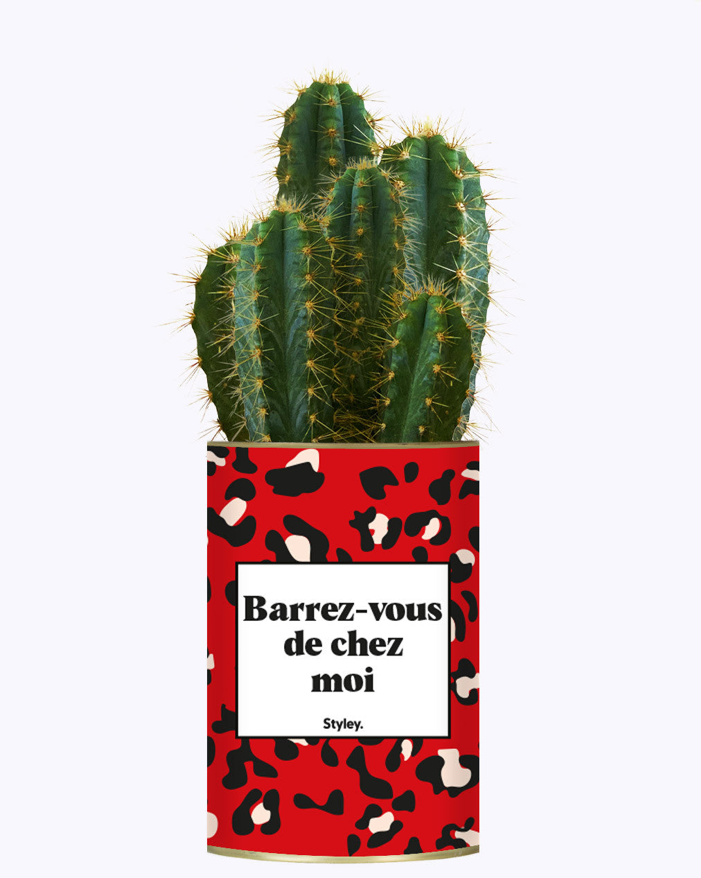 Barrez-vous de chez moi - Cactus