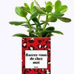 Barrez-vous de chez moi - Cactus