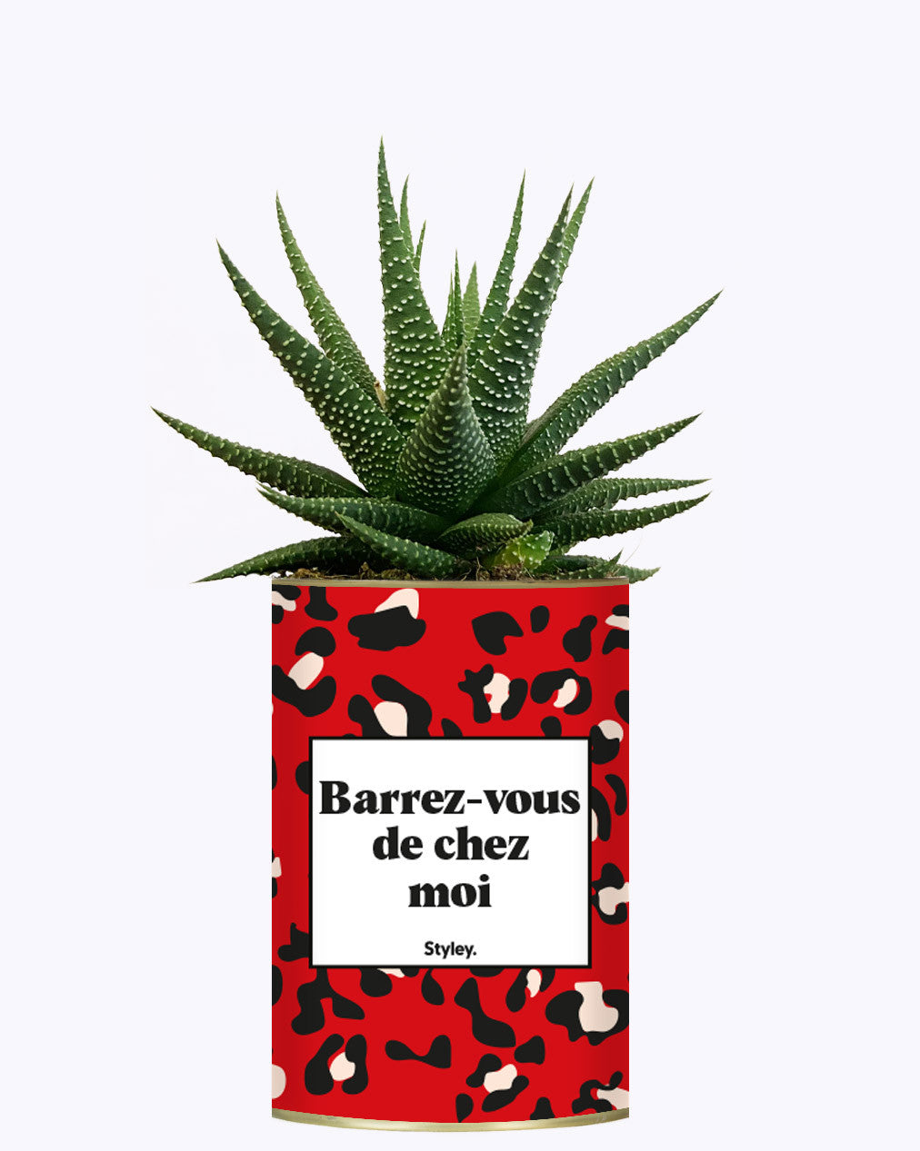 Barrez-vous de chez moi - Cactus
