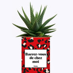 Barrez-vous de chez moi - Cactus
