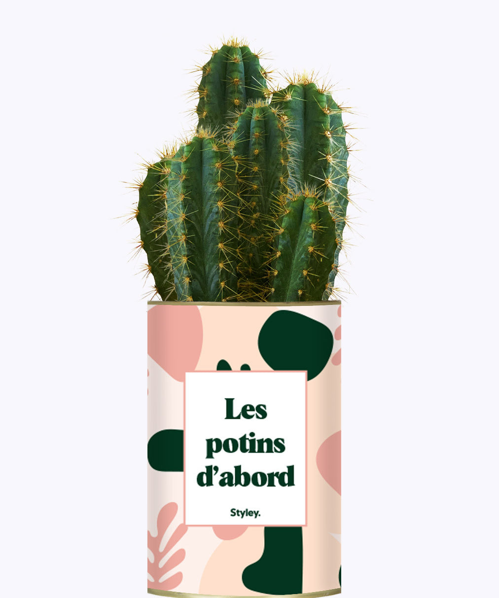 Les potins d'abord - cactus