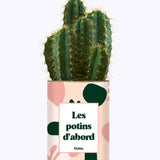 Les potins d'abord - cactus