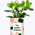 Les potins d'abord - cactus