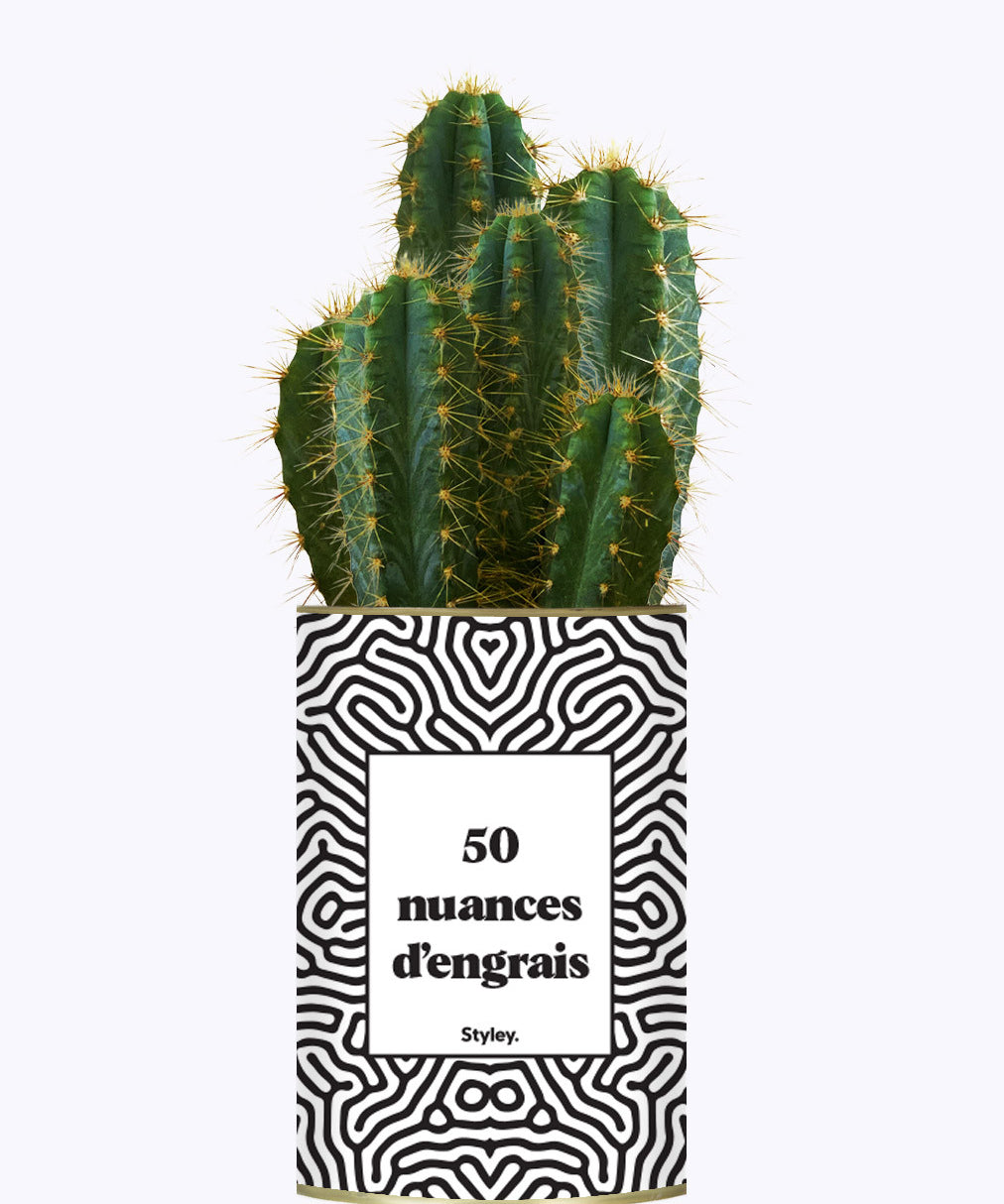 50 Nuances d'engrais - Plante grasse