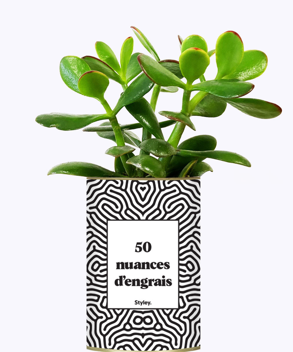 50 Nuances d'engrais - Plante grasse