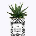50 Nuances d'engrais - Plante grasse
