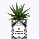 50 Nuances d'engrais - Plante grasse