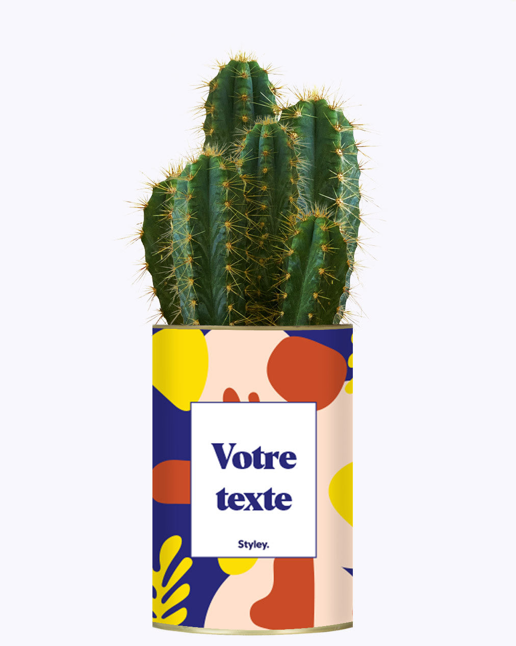 Cactus Josiane - Personnalisable