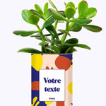 Cactus Josiane - Personnalisable