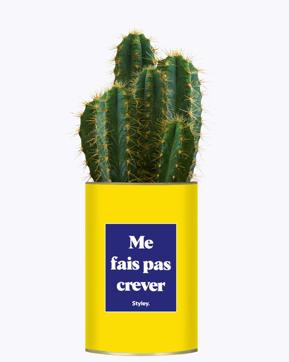 Me fais pas crever - Cactus