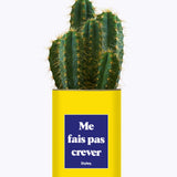 Me fais pas crever - Cactus