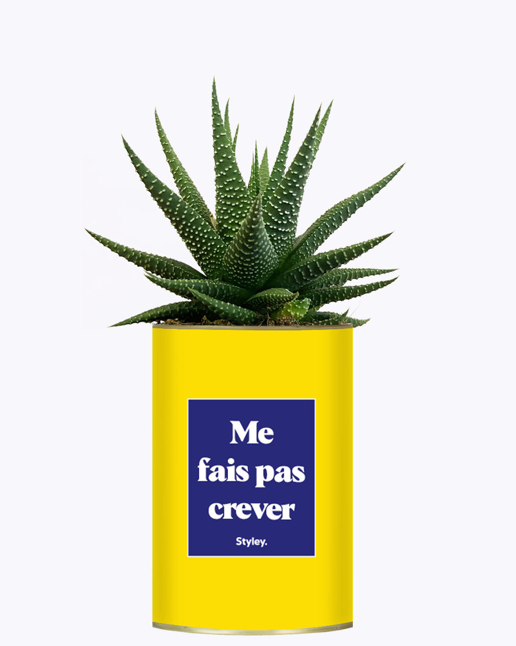 Me fais pas crever - Cactus