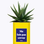 Me fais pas crever - Cactus