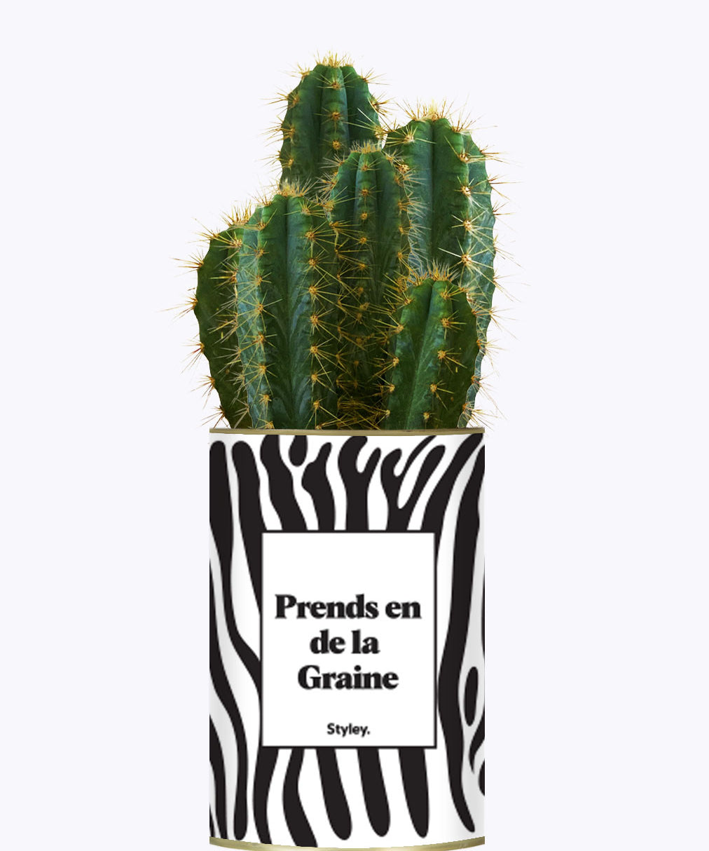 Prends en de la Graine - Cactus