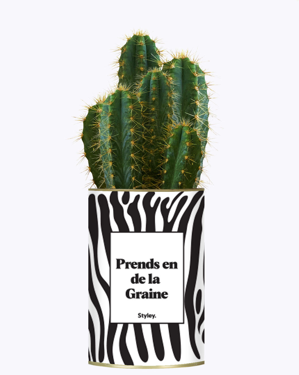 Prends en de la Graine - Cactus