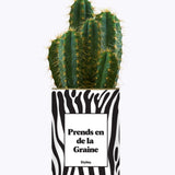 Prends en de la Graine - Cactus