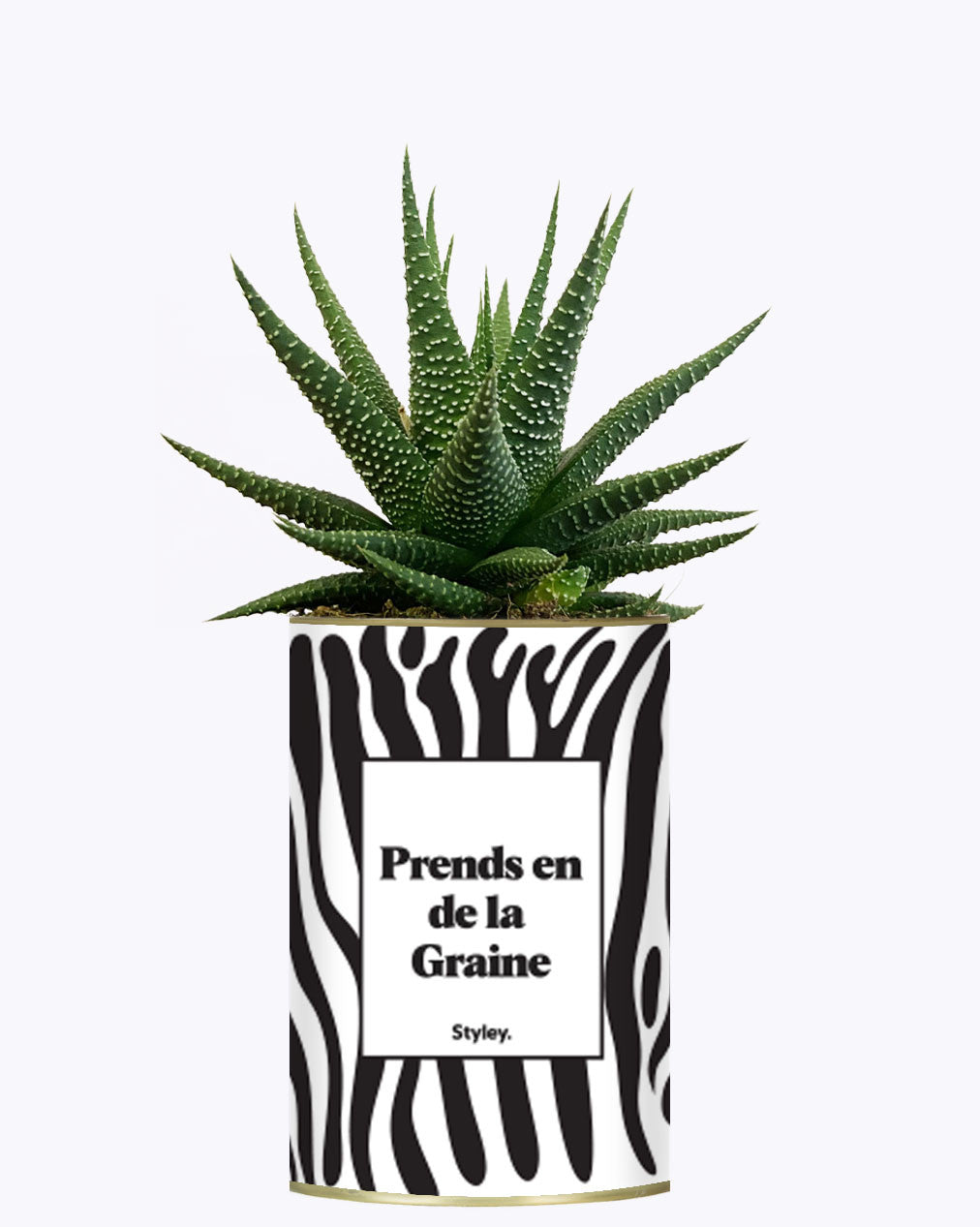 Prends en de la Graine - Cactus