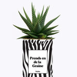 Prends en de la Graine - Cactus