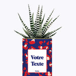 Cactus Lison - Personnalisable