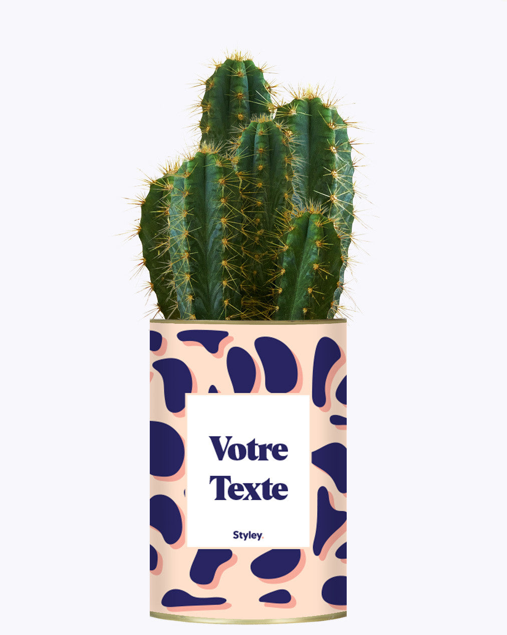 Cactus Léon - Personnalisable