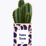 Cactus Léon - Personnalisable