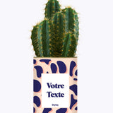 Cactus Léon - Personnalisable