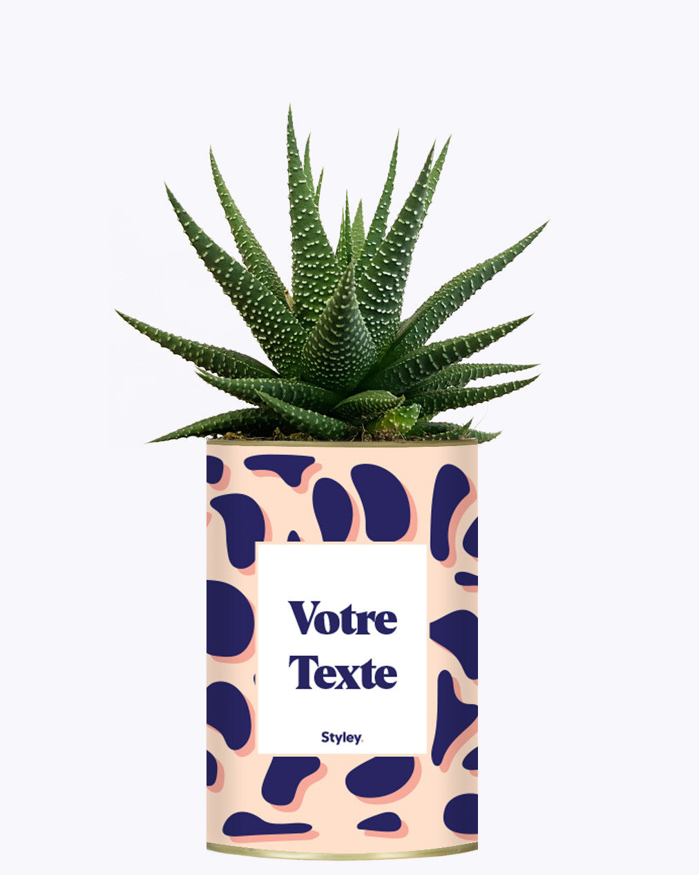 Cactus Léon - Personnalisable