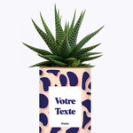 Cactus Léon - Personnalisable