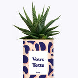 Cactus Léon - Personnalisable