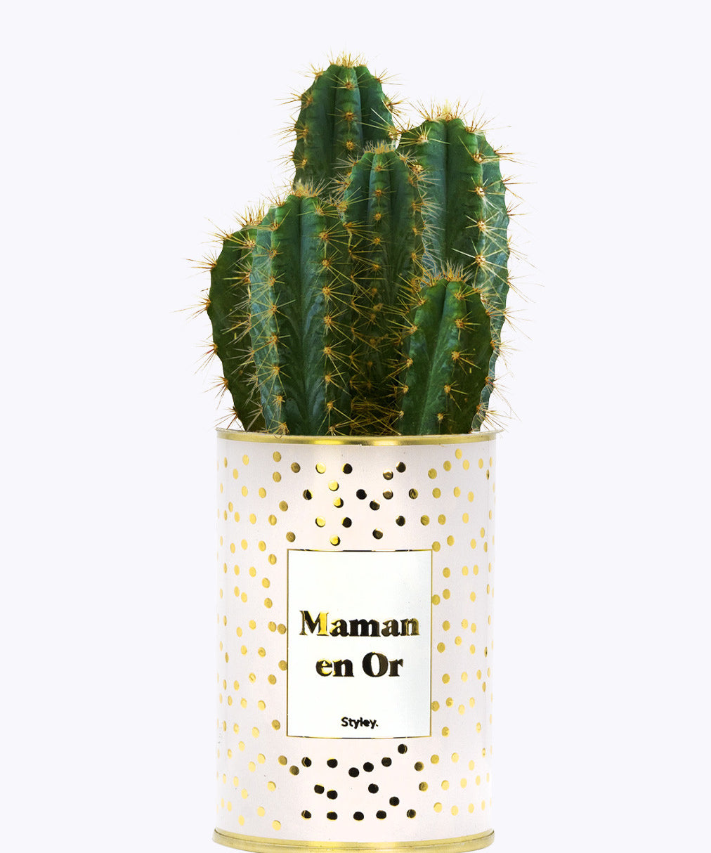 Maman en Or - Cactus - Finition doré