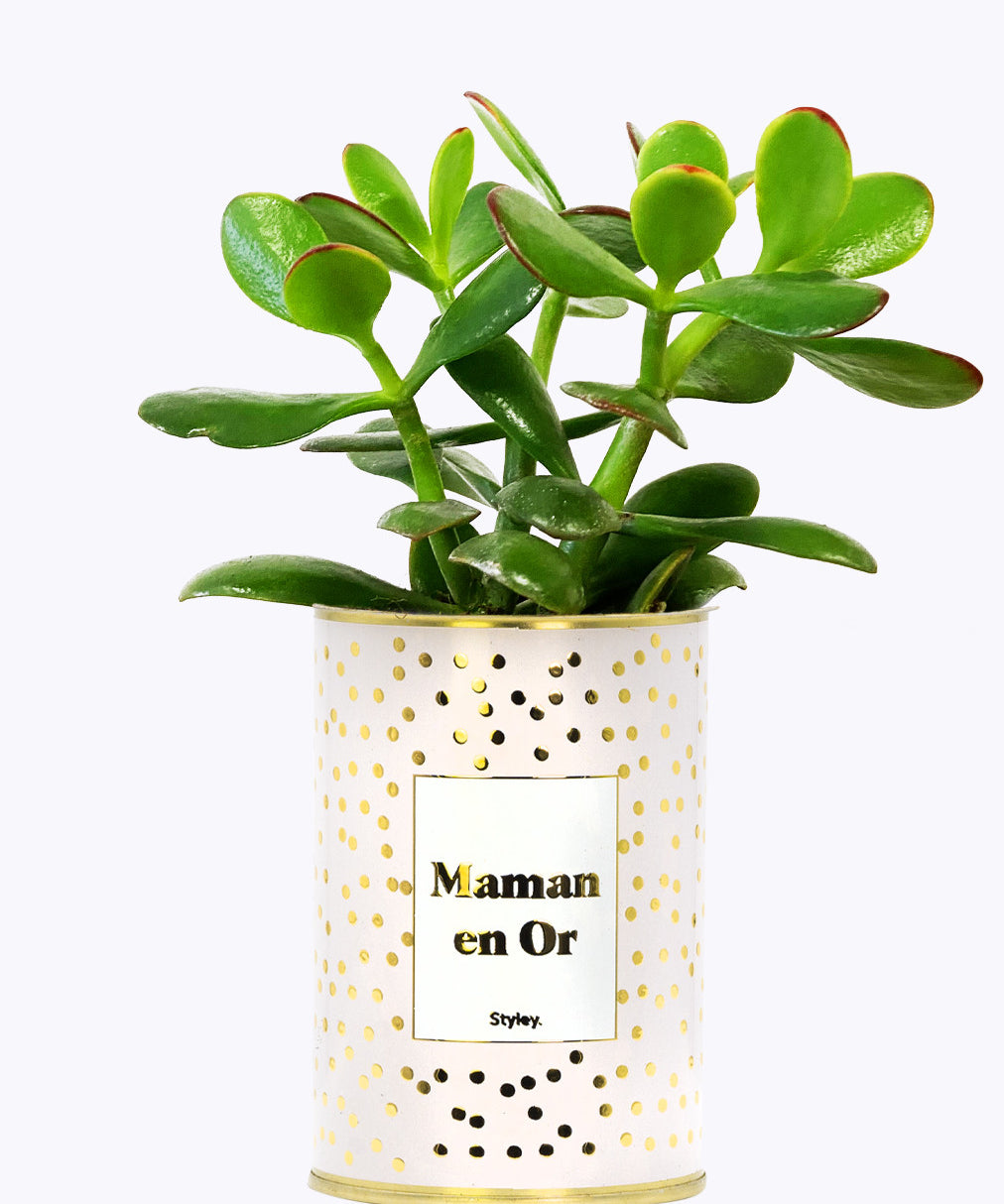 Maman en Or - Cactus - Finition doré