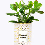Maman en Or - Cactus - Finition doré