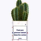 Faut pas pousser mémé dans les cactus - Cactus