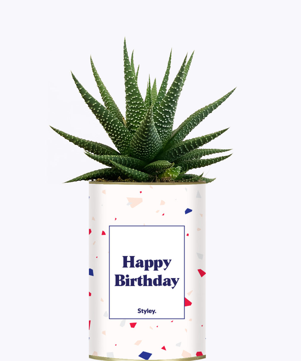 Happy Birthday - Cactus