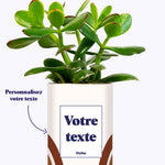 Arc - Plante personnalisable