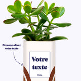 Arc - Plante personnalisable