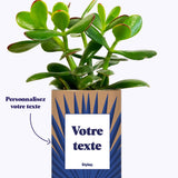 Grande Palme - Plante personnalisable