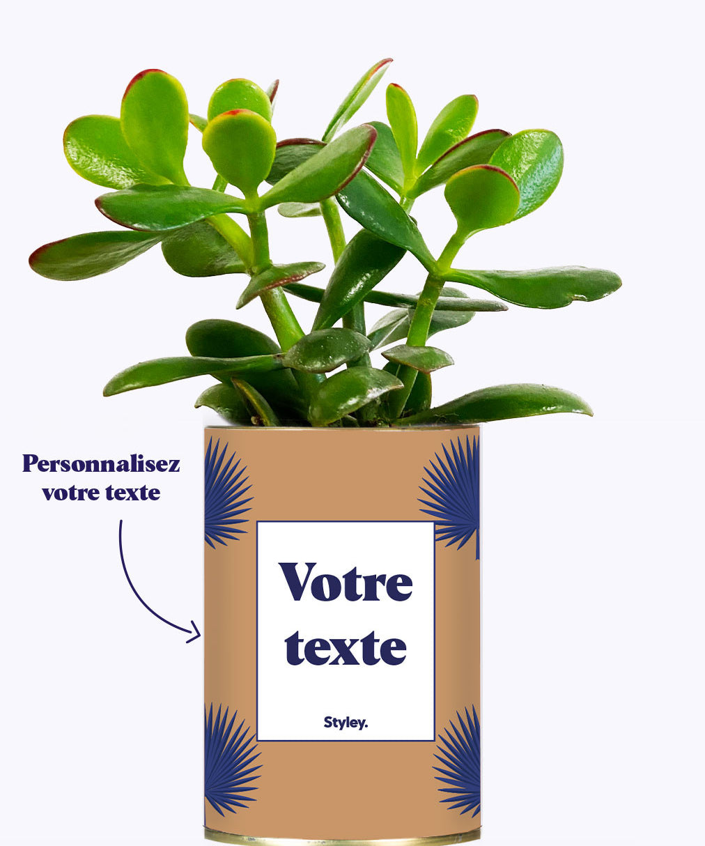 Petite Palme - Plante personnalisable