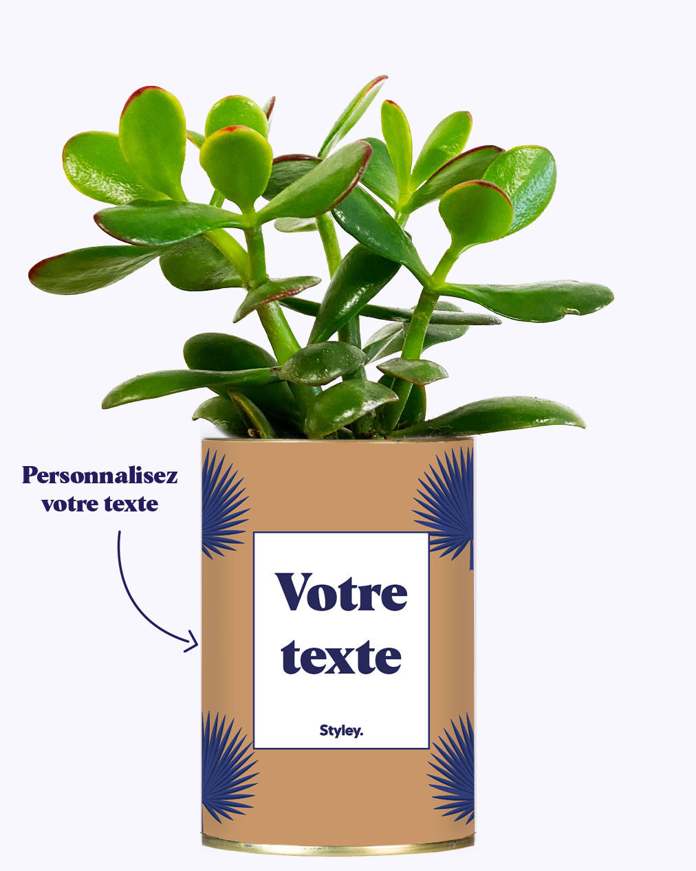Petite Palme - Plante personnalisable