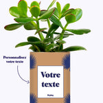 Petite Palme - Plante personnalisable